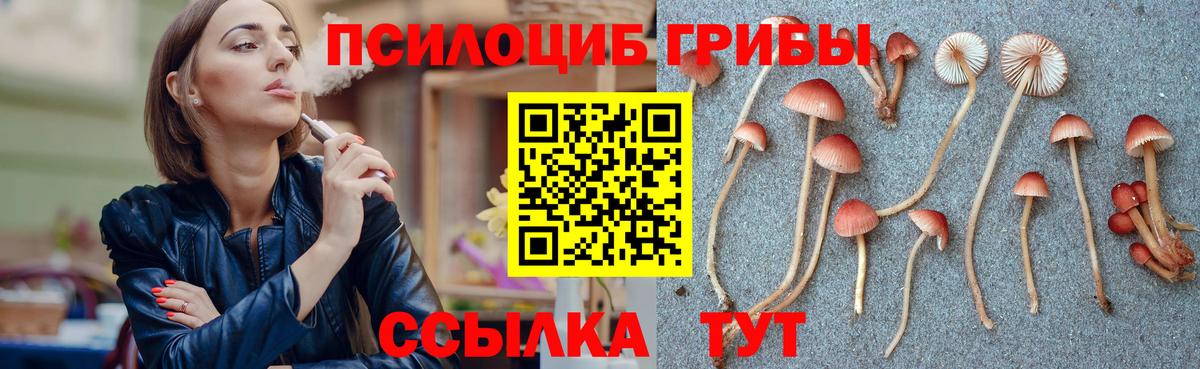 Красный Сулин  Галлюциногенные грибы ЛСД  Вход с VPN  Галлюциногенные грибы Psilocybe 